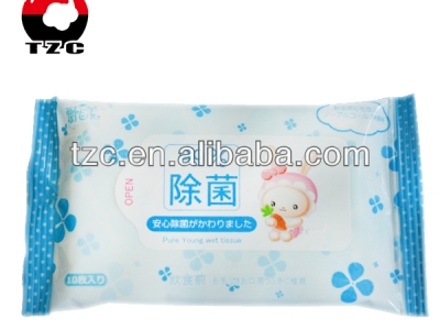 wet wipes bag 1